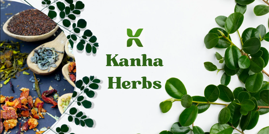 Best Ayurvedic Brand in India – Kanha Herbs